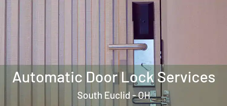 Automatic Door Lock Services South Euclid - OH