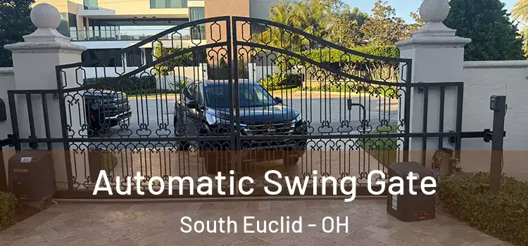 Automatic Swing Gate South Euclid - OH