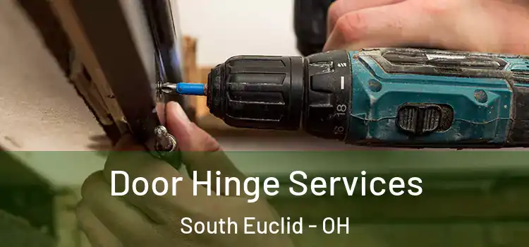 Door Hinge Services South Euclid - OH