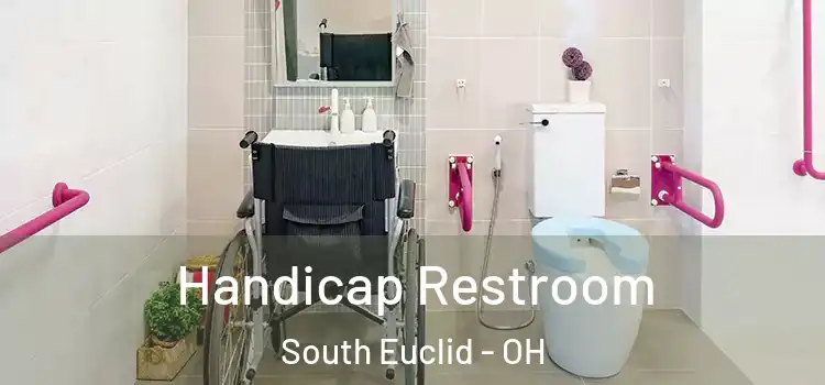  Handicap Restroom South Euclid - OH