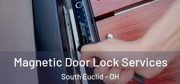 Magnetic Door Lock Services South Euclid - OH